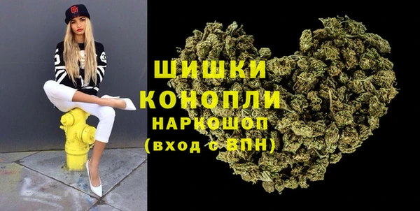 PSILOCYBIN Бородино