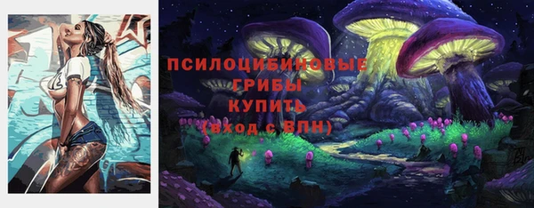 эйфоретик Верея