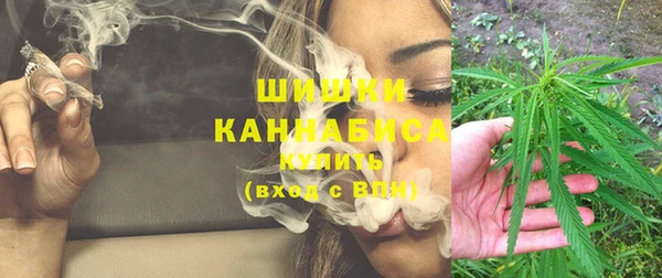 PSILOCYBIN Бородино