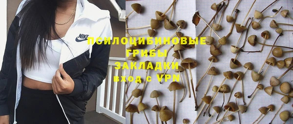 винт Богородицк