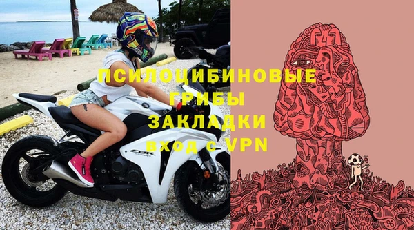 дживик Бугульма