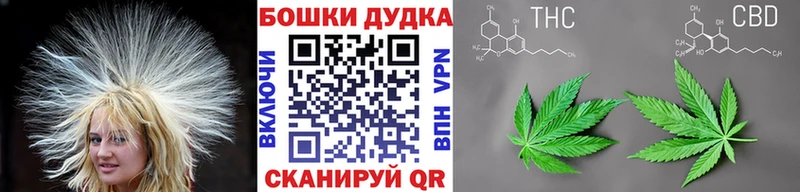 Купить закладки  Нарткала  Бошки марихуана THC 21% 